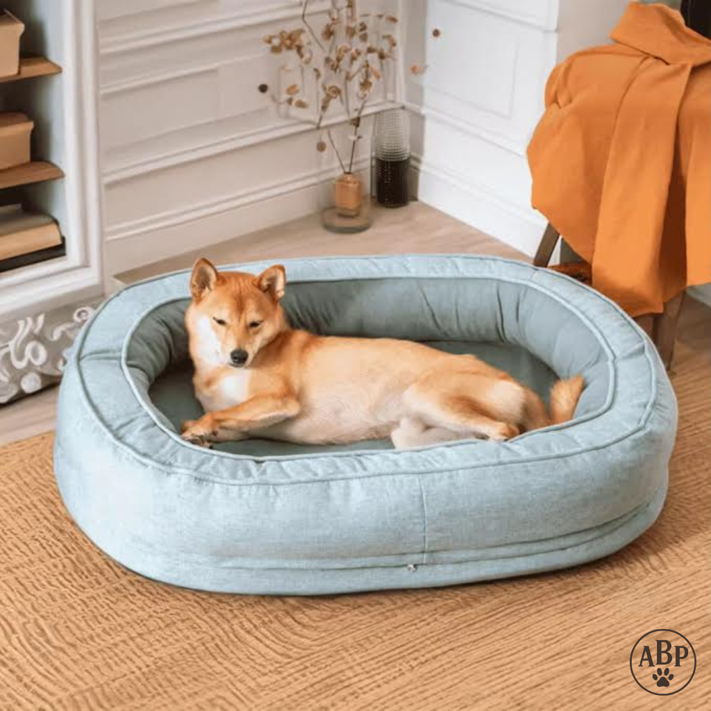 Panier Rond pour Chien & Chat – Lit Ovale Moelleux Déhoussable et Lavable