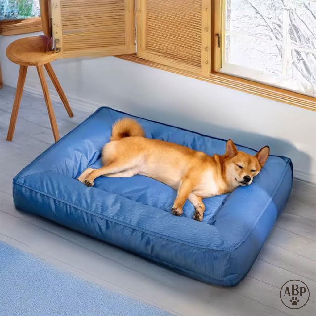 Lit Rectangulaire pour Chien – Coussin Moelleux Déhoussable & Lavable – Idéal pour Petit et Grand Chien