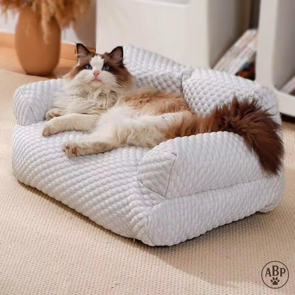 Canapé Lit pour Chien & Chat – Panier Moelleux Déhoussable, Confort Premium et Design Élégant