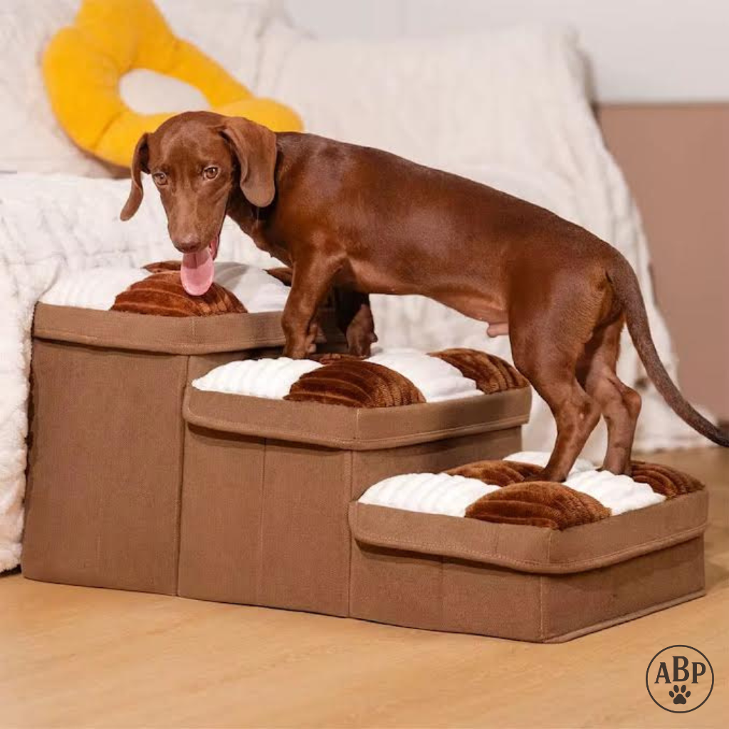 Escaliers pour chien et chat pliables avec coussins moelleux – Marchepied antidérapant pour lit, canapé et voiture