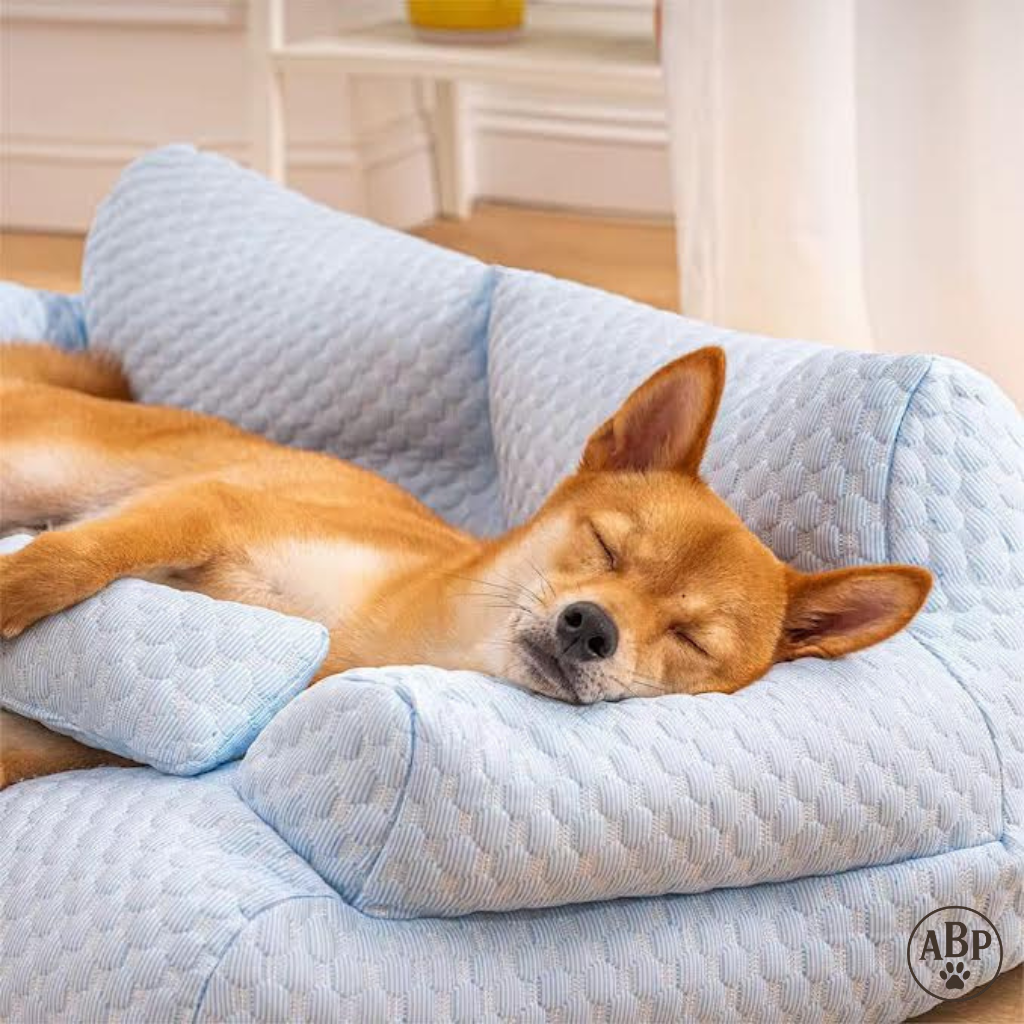 Canapé Lit pour Chien & Chat – Panier Moelleux Déhoussable, Confort Premium et Design Élégant