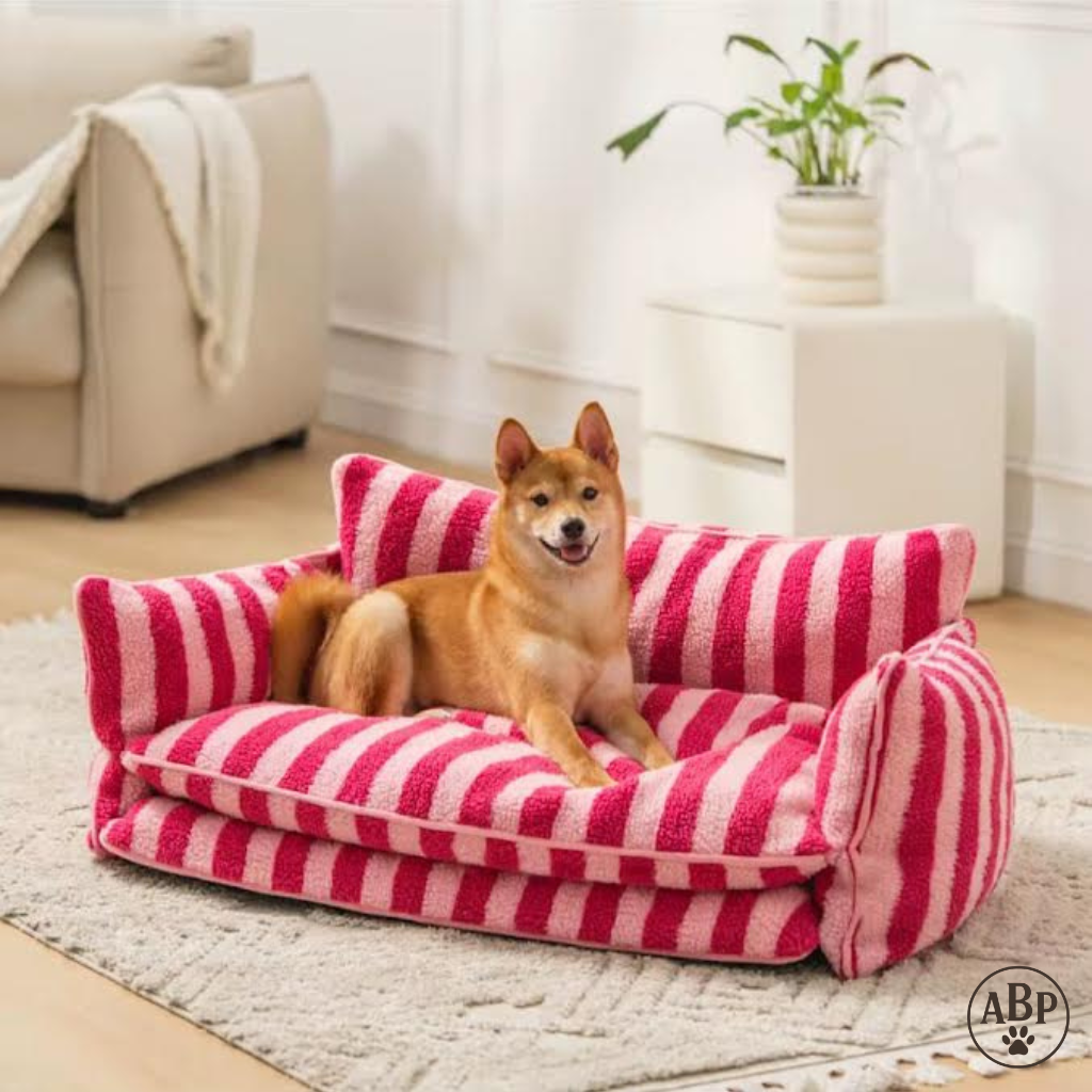 Canapé Lit pour Chien Design – Sofa Douillet Rayé Noir & Blanc ou Beige | Panier Luxe Confortable