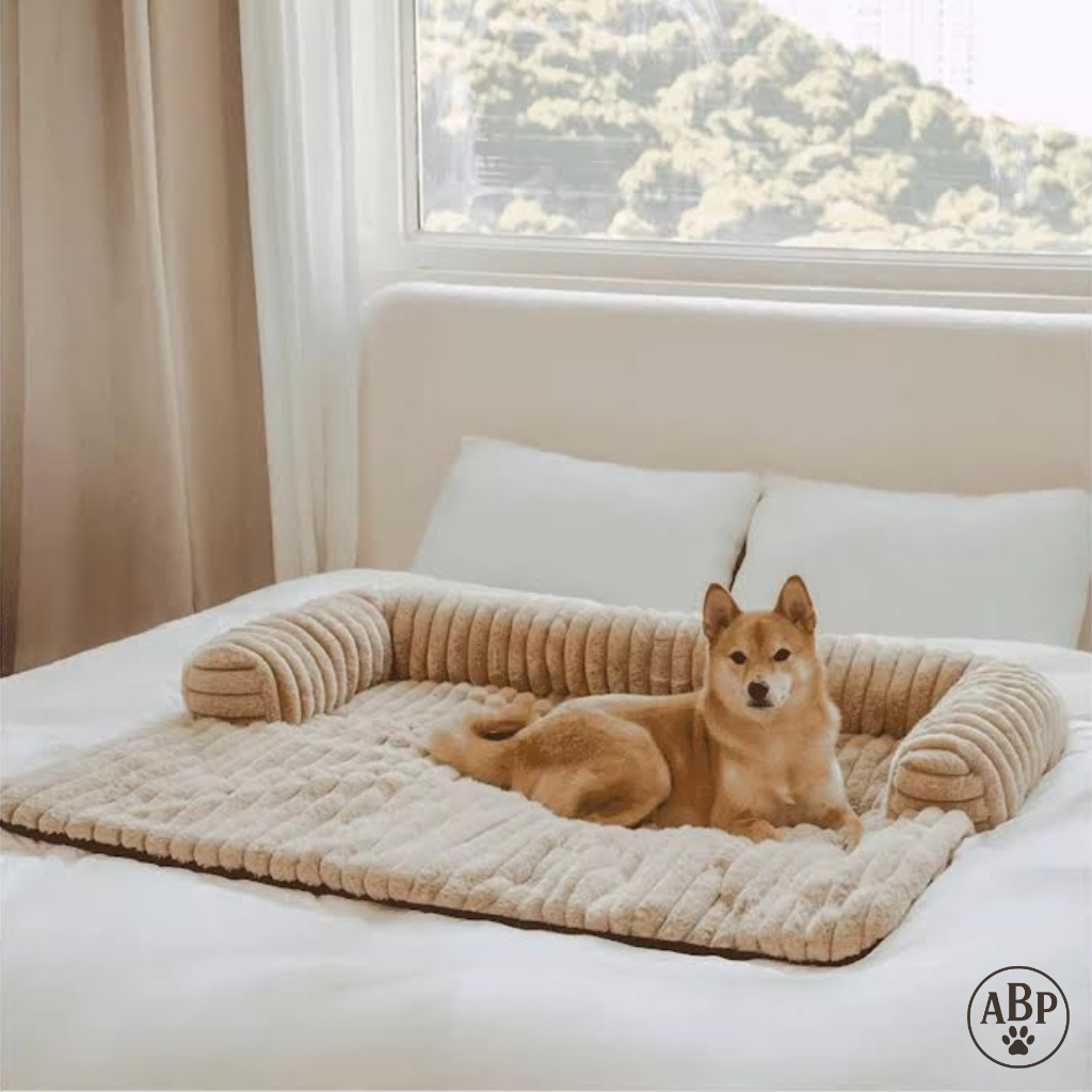 Tapis pour chien et chat doux avec rebords – Matelas antidérapant, lavable et confortable pour animaux