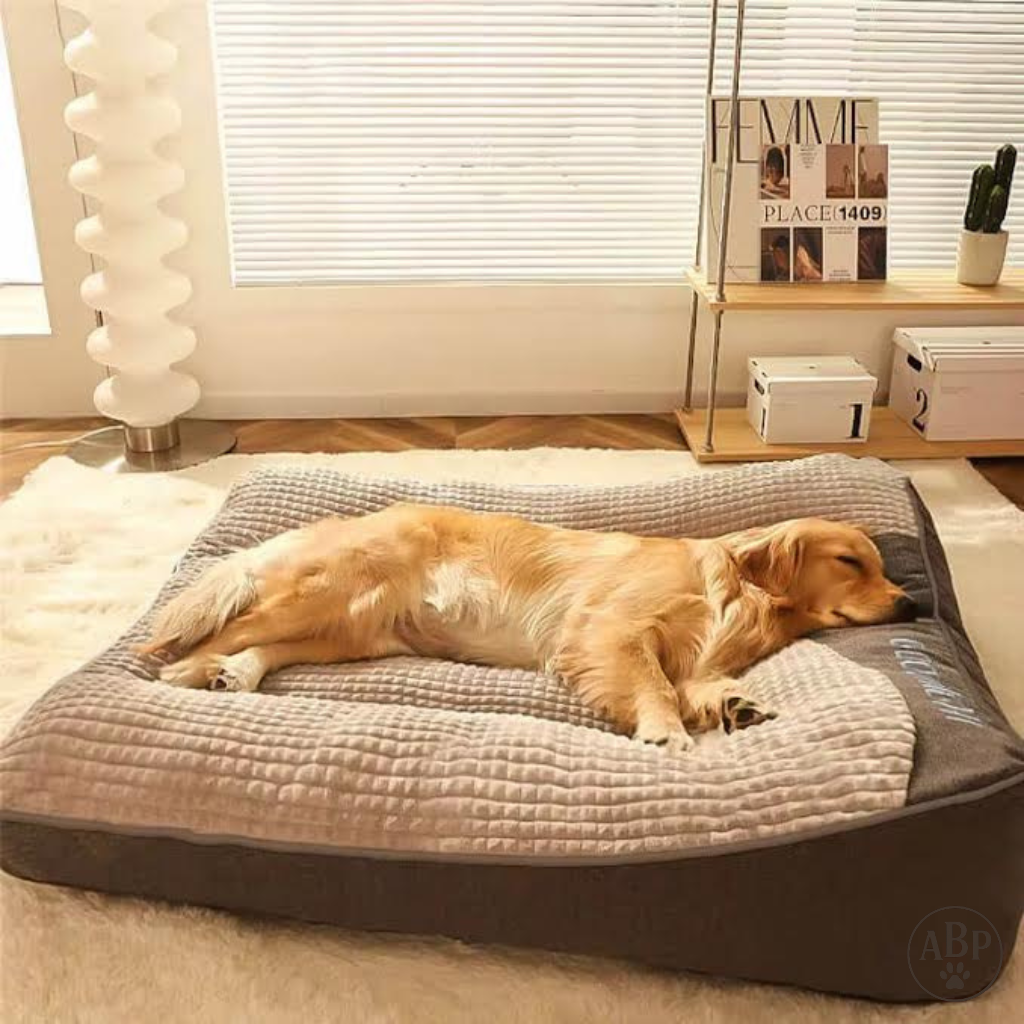 Lit Moelleux pour Chien – Panier et Coussin Moelleux Déhoussable – Idéal Petit & Grand Chien