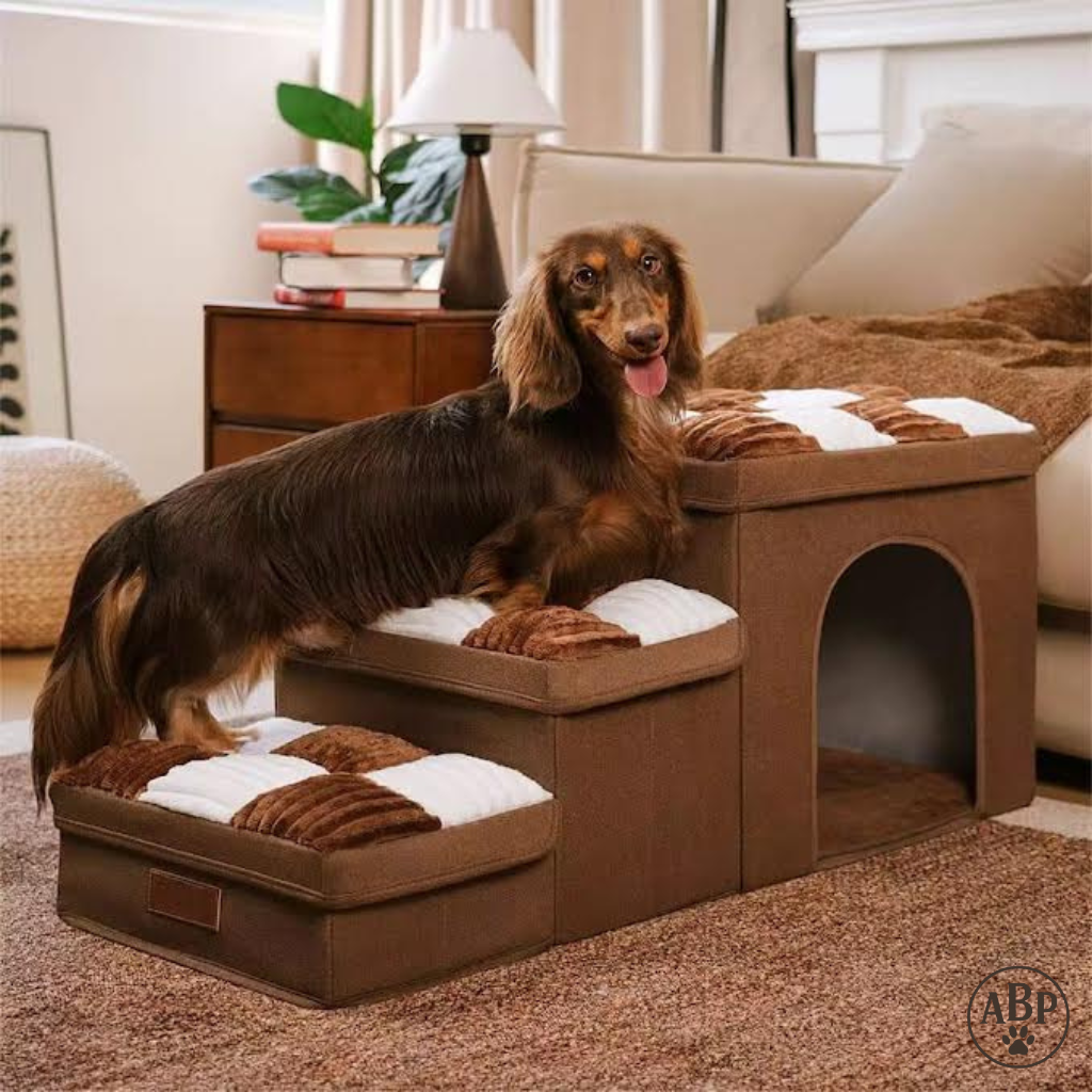 Escaliers pour chien et chat pliables avec coussins moelleux – Marchepied antidérapant pour lit, canapé et voiture