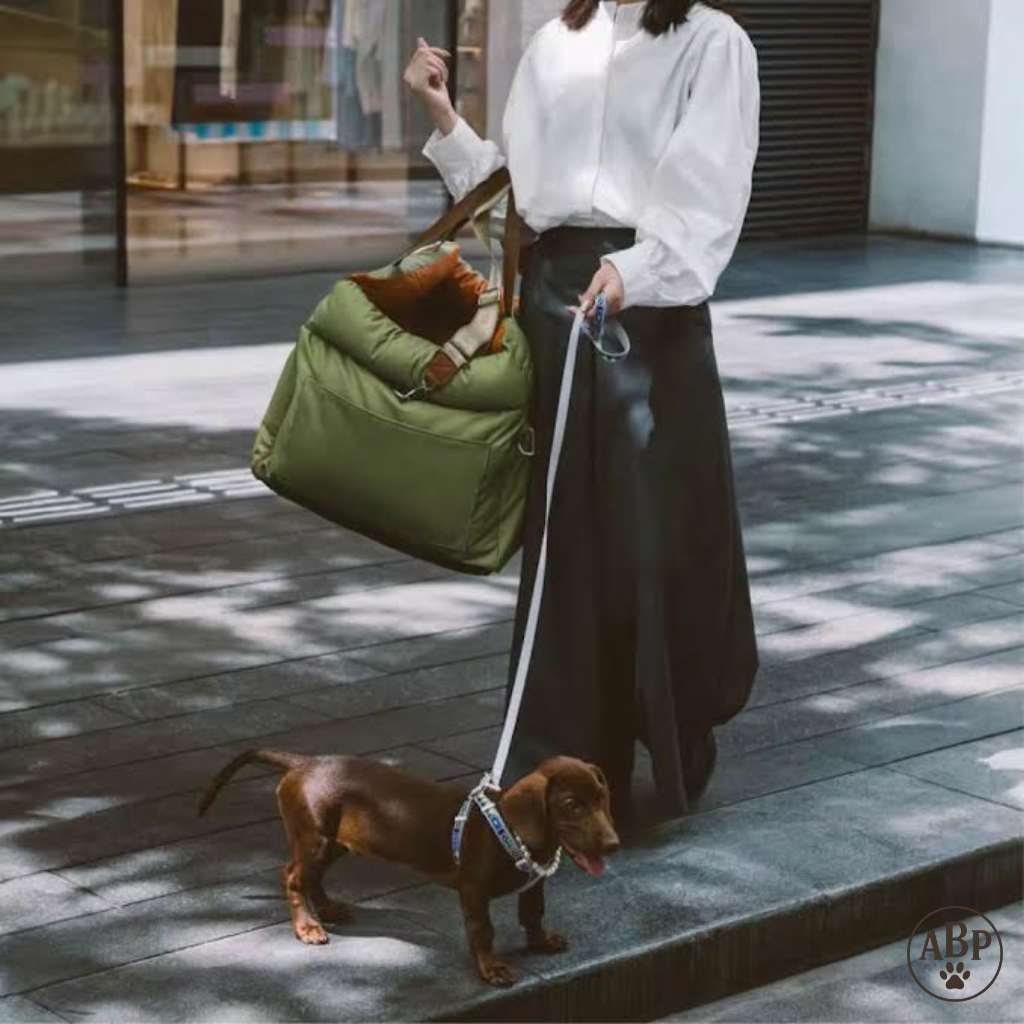 Sac de Transport pour Chien Voiture - Siège Auto Sécurisé &  Confortable