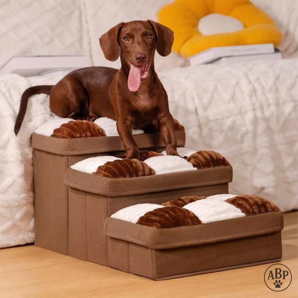 Escaliers pour chien et chat pliables avec coussins moelleux – Marchepied antidérapant pour lit, canapé et voiture