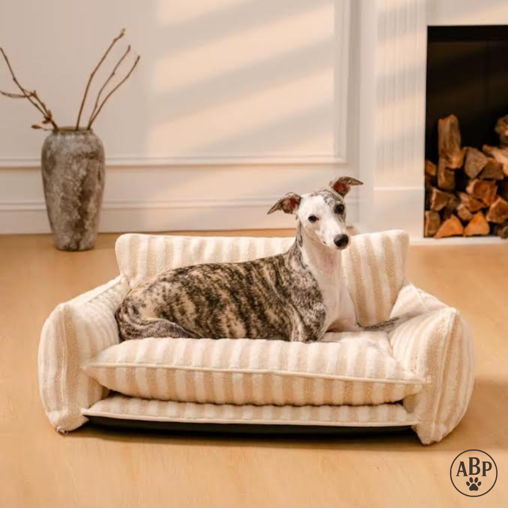 Canapé Lit pour Chien Design – Sofa Douillet Rayé Noir & Blanc ou Beige | Panier Luxe Confortable