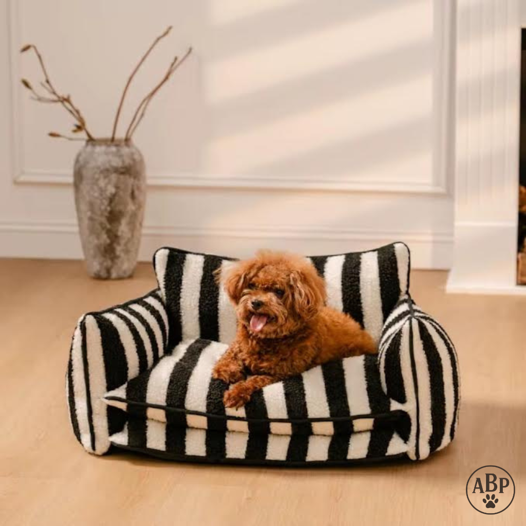 Canapé Lit pour Chien Design – Sofa Douillet Rayé Noir & Blanc ou Beige | Panier Luxe Confortable