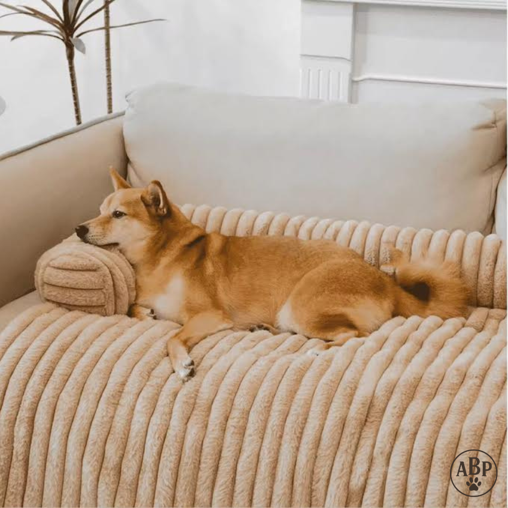 Tapis pour chien et chat ultra doux avec rebords – Matelas antidérapant, lavable et confortable pour animaux