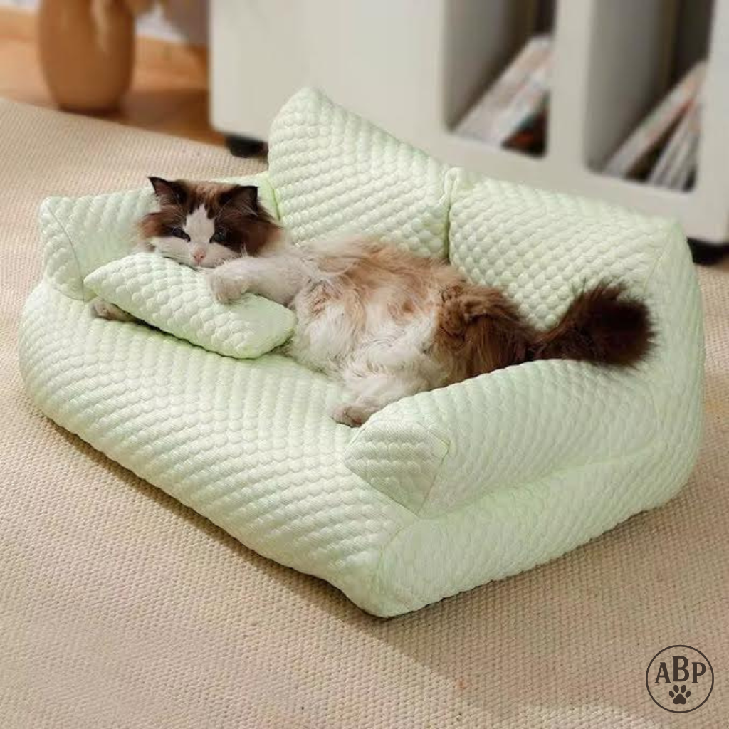 Canapé Lit pour Chien & Chat – Panier Moelleux Déhoussable, Confort Premium et Design Élégant