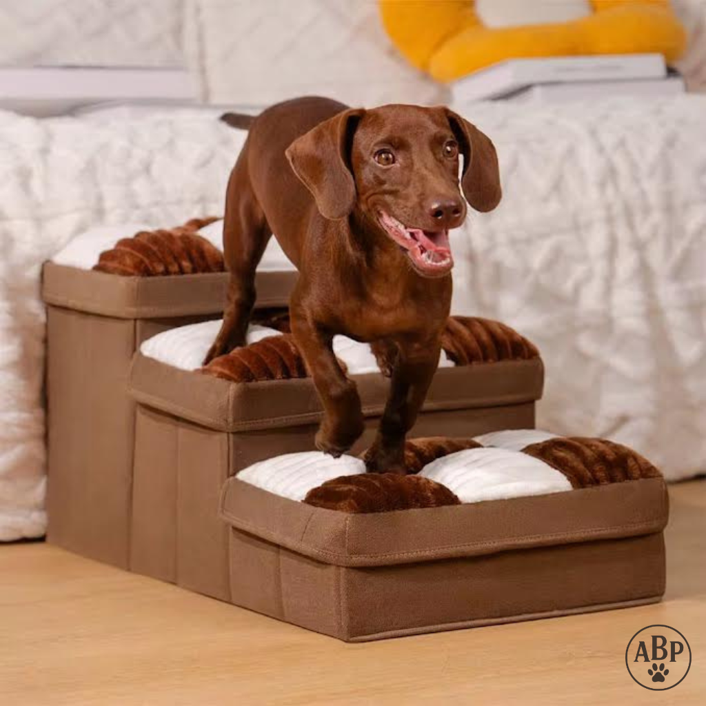 Escaliers pour chien et chat pliables avec coussins moelleux – Marchepied antidérapant pour lit, canapé et voiture