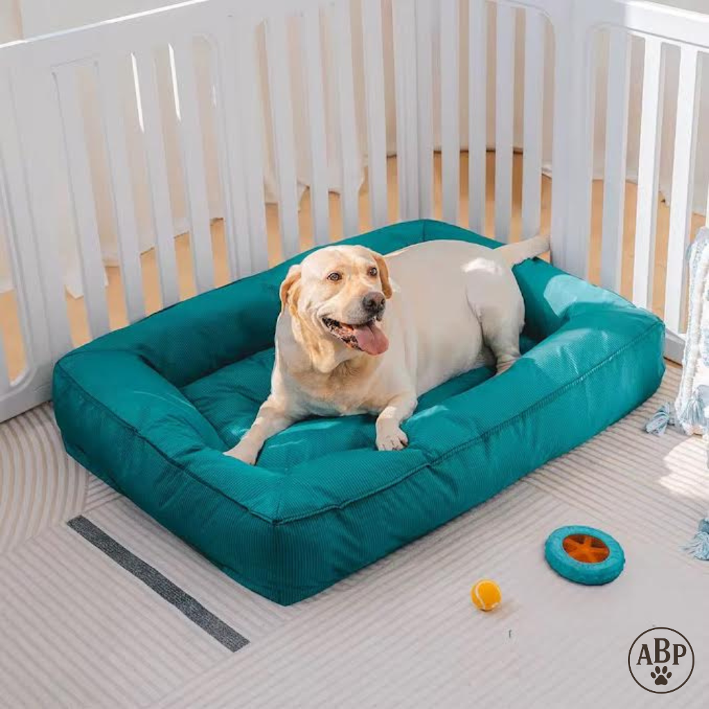 Lit Rectangulaire pour Chien – Coussin Moelleux Déhoussable & Lavable – Confort Premium pour Petit et Grand Chien